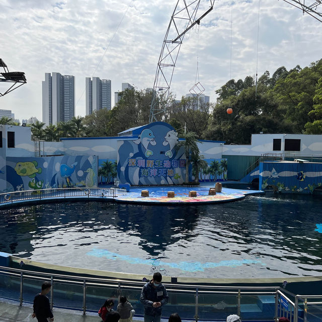 Fun experience at Shenzhen Safari Park