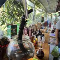 Mekong Delta Tour 