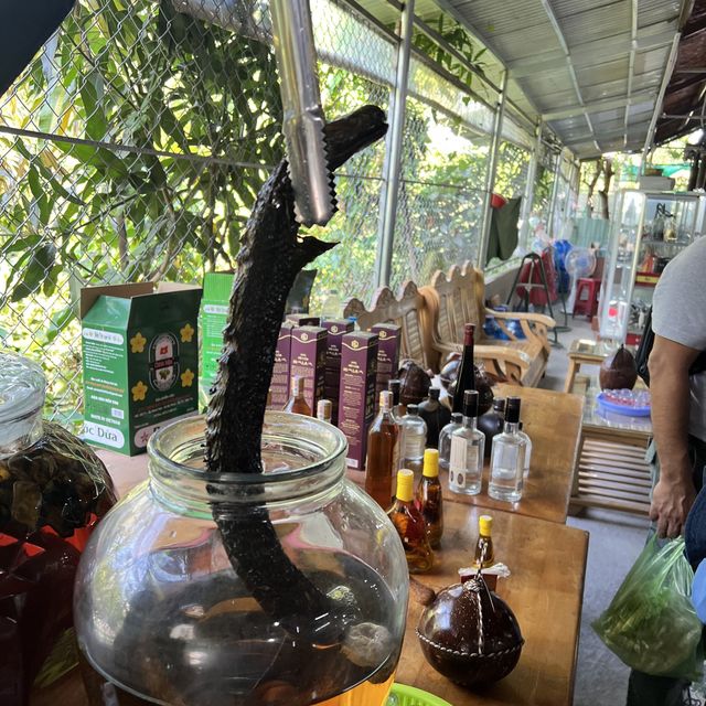 Mekong Delta Tour 
