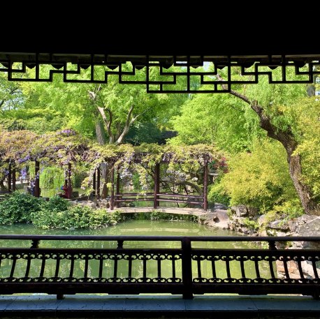 蘇州】藤棚が美しい世界遺産「留園」 | Trip.com 蘇州