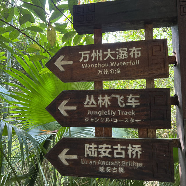Falling for Walks behind Waterfalls 