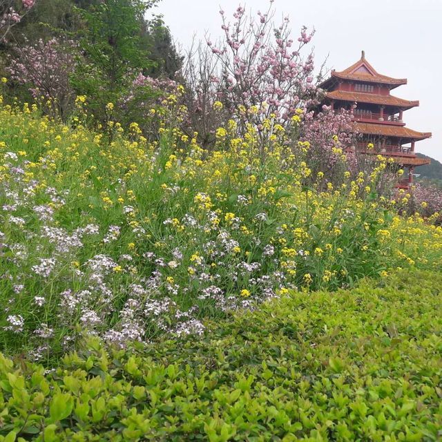 Prince Teng’s Pavilion 🌸