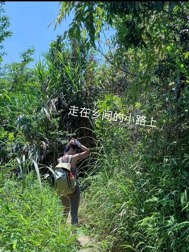 Shenzhen Hiking | It's no less than Hong Kong's MacLehose Trail!