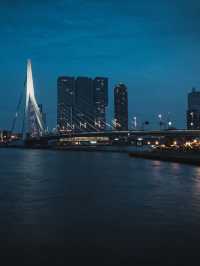 Swan | Erasmus Bridge
