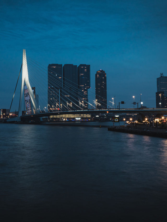 Swan | Erasmus Bridge