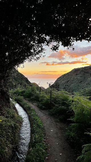 Levada do Moinho & Levada Nova: Embark on an Idyllic Forest Adventure in Madeira! 🌲🏞️