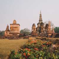 🇹🇭瑪哈泰寺Wat Mahathat@素可泰
