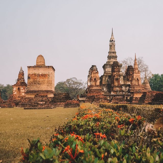 🇹🇭瑪哈泰寺Wat Mahathat@素可泰