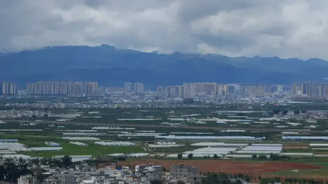 윤난 몽자의 교량 밀면