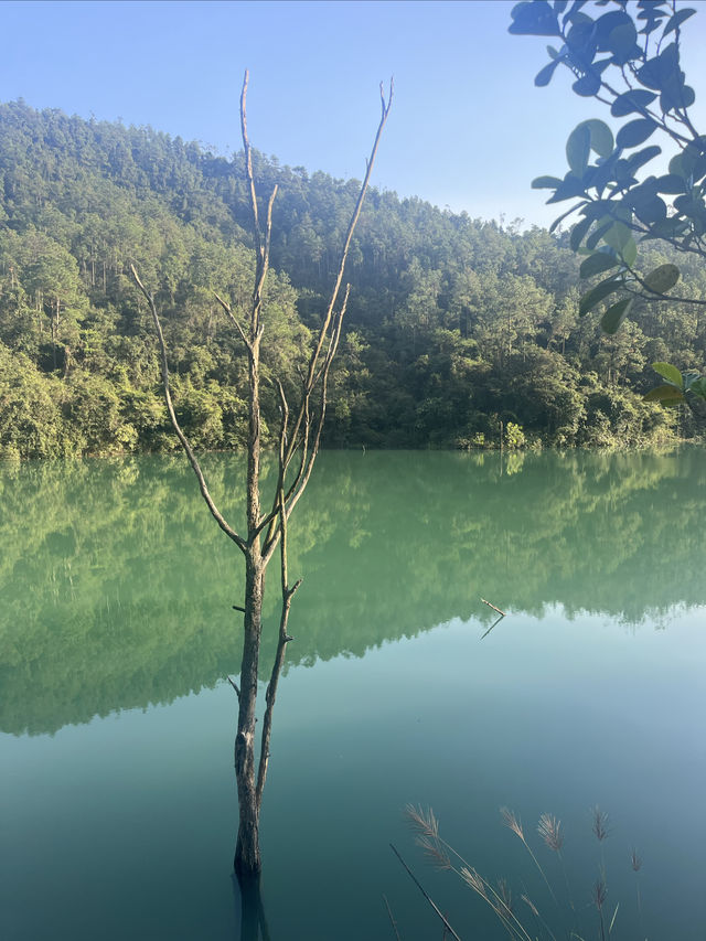 中山徒步 | 這條小眾路線真的很絕