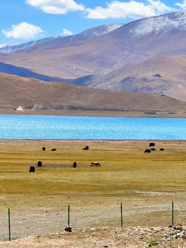 Tibet Shannan | Yamdrok Lake Encounter the gem blue lake