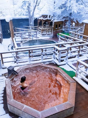 Hokkaido Forest Snow Viewing Open-air Bath Green Wind Resort