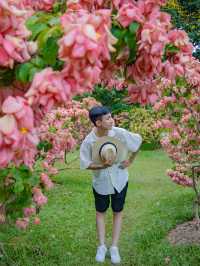 為了中科院植物園專程飛到西雙版納