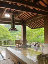 Tenzan Onsen's Forest Retreat