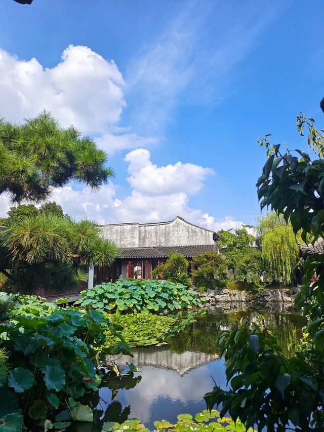 蘇州藝圃｜最小眾精緻的古典園林