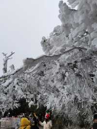 湖南郴州｜廣州2h可以看雪景的地方