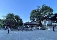 水天一色，恬靜安祥～和順古鎮野鴨湖