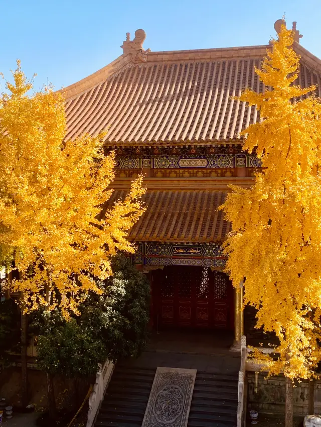 藏在喧囂都市中的皇家寺廟｜雲居寺