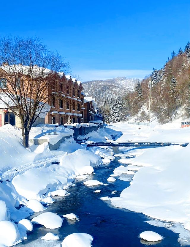 中國雪鄉我來啦，隨手一拍就是冬日壁紙