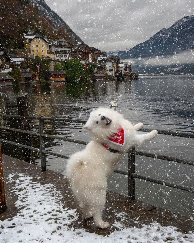 Hallstatt Chronicles: A Picture-Perfect Weekend Getaway 🏞️🇦🇹