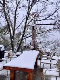 2024年的第一場雪，我在雨印茶坪看的