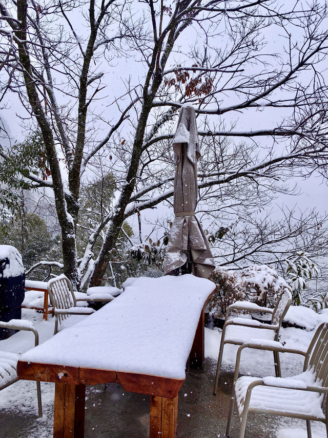 2024年的第一場雪，我在雨印茶坪看的
