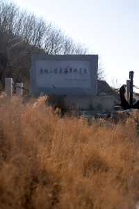在大連打卡電影同款的綠色燈塔