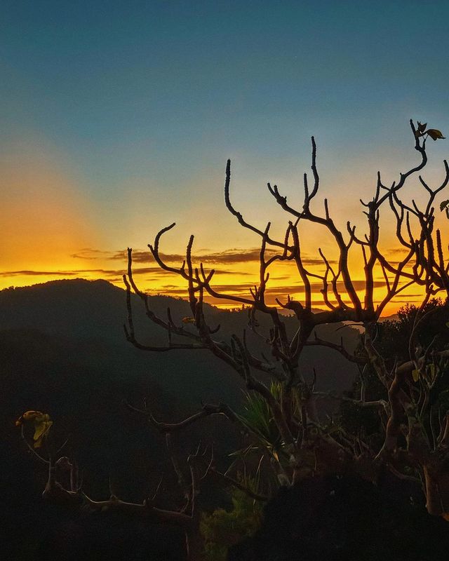 Forgot the snooze button; wake up to the adrenaline rush of Taraw Cliff in El Nido! Spoiler alert: The views up there are worth the early rise. 🌄