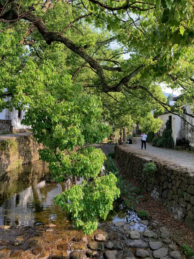This is truly a hidden gem, the largest ancient village in Jiangnan that can be reached within 1 hour from Hangzhou!