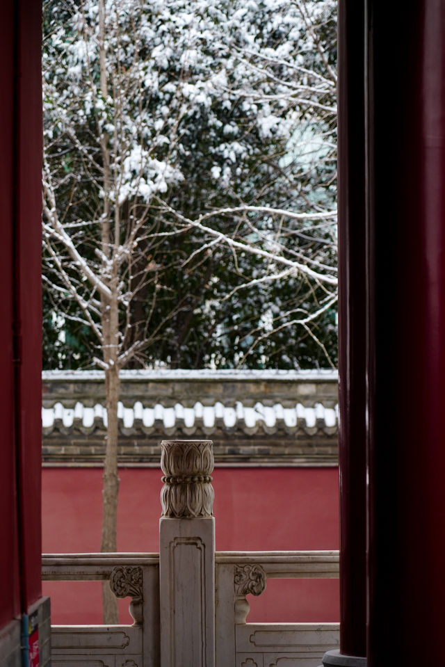 鄭州 | 不是故宮去不起 是雪後文廟更有性價比