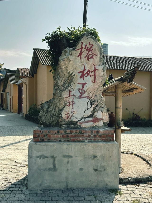 看完我的攻略，去不去芒市你決決定