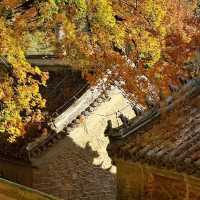 發現北京四季之美·雲居寺