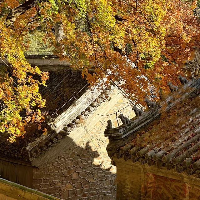 發現北京四季之美·雲居寺