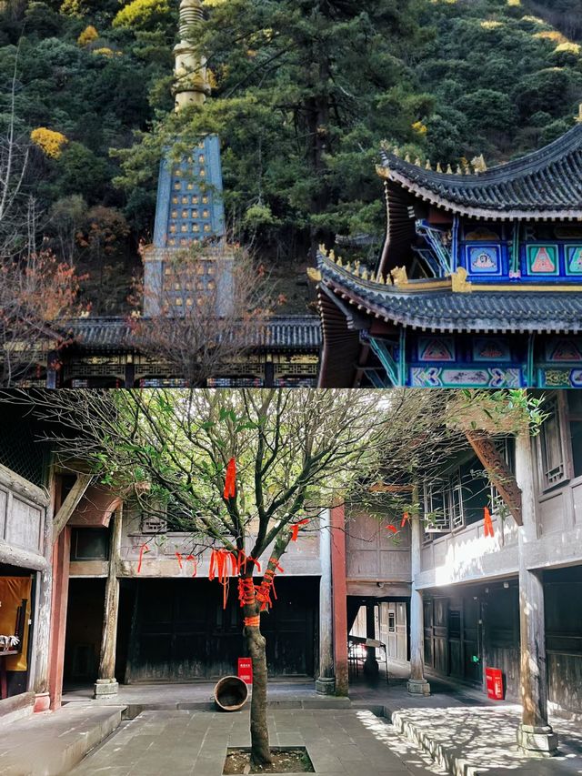 尋找同樣喜歡拜佛的人日照金山靈山寺