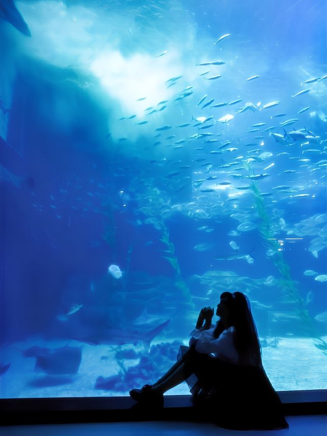 亞洲最大：濟州島水族館的攻略奉上