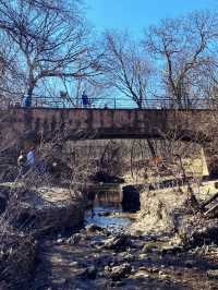 達拉斯丨獨自旅行•Arbor Hills Trail