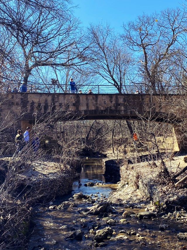 達拉斯丨獨自旅行•Arbor Hills Trail