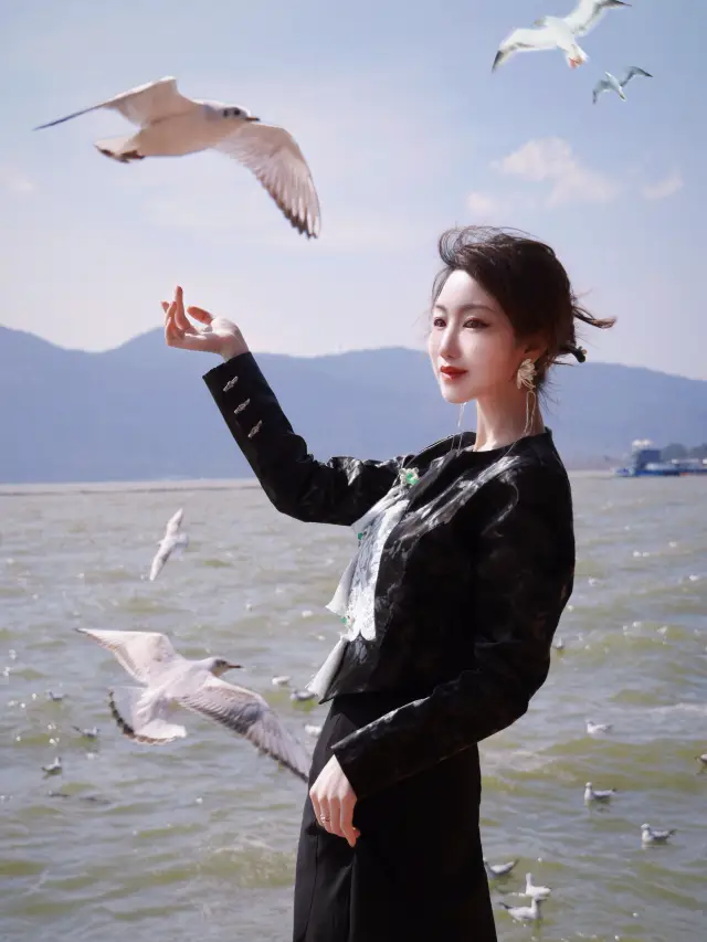 Kunming | Seagulls have been fed, and the forest boats have been rowed