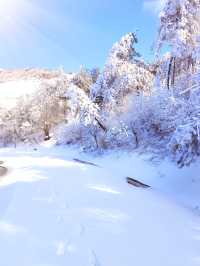 通山九宮山