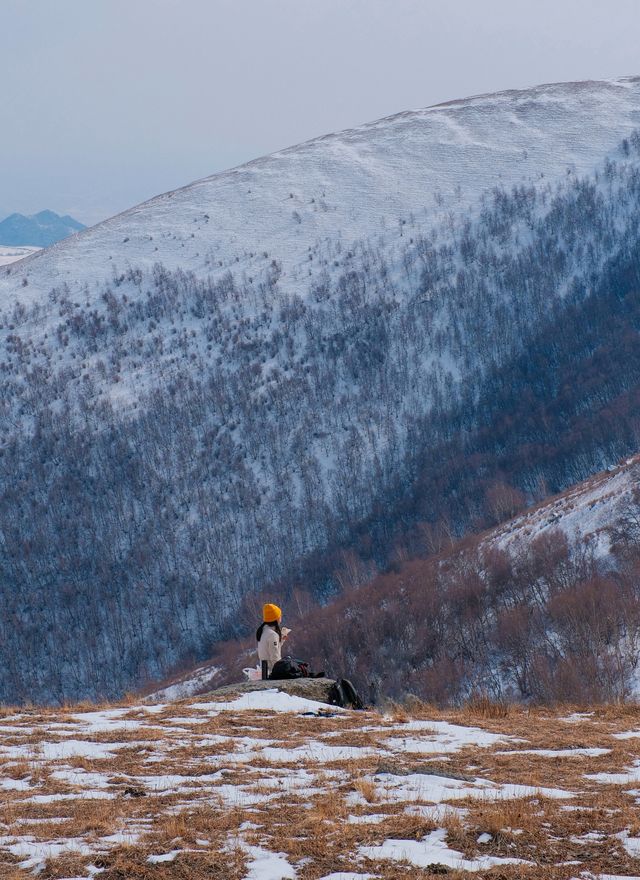 初春崇禮三樑｜又遇風雪交加的山野體驗