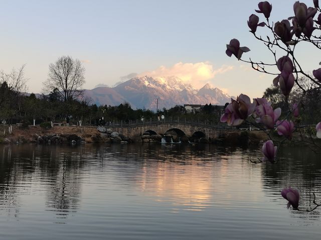 三月的麗江 木府 麗江古城 獅子山 黑龍潭