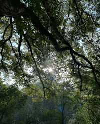 接下來的南湖公園，是這樣的