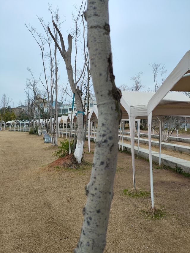 周末偶遇長沙宮崎駿現實版漫畫-後湖