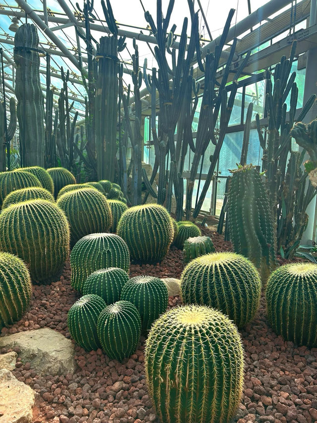 中山植物園｜南京莫內花園