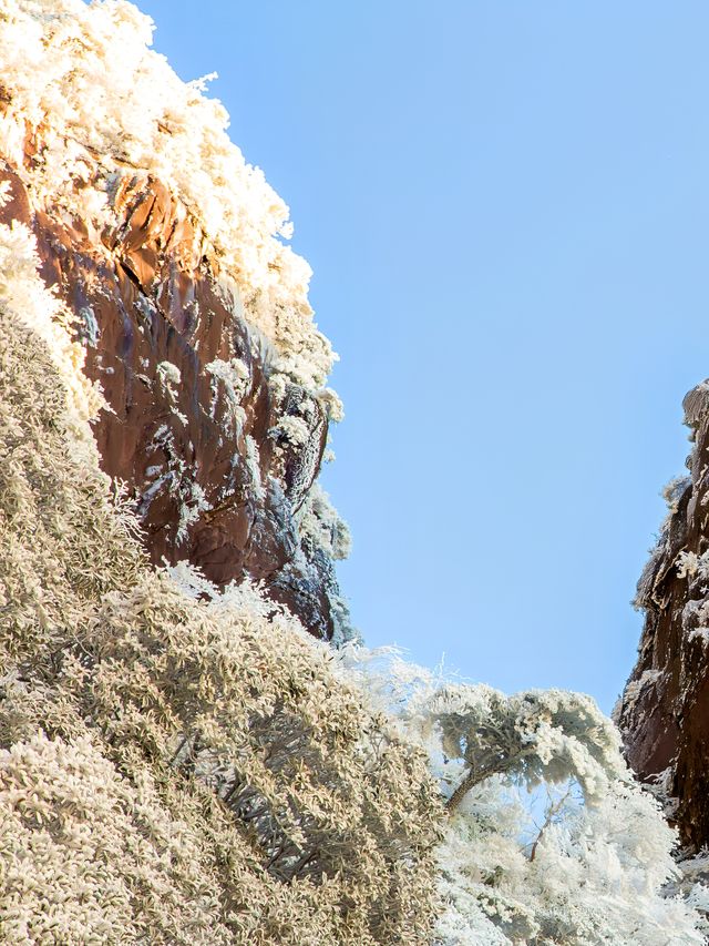 別只盯著東北，三清山的霧凇雪景也超美哒！