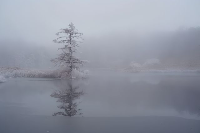 霧有多美妙，去了瓦屋山才知道