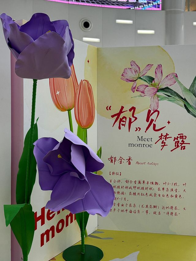 大連新晉打卡地 | 郁見夢露