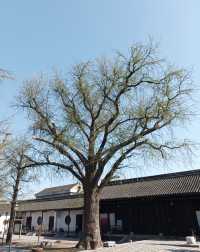 華東第一清真寺