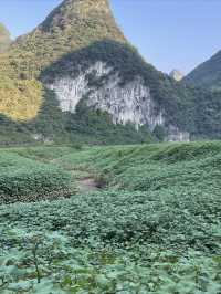 清遠牛湖線，風景很美，人也很累