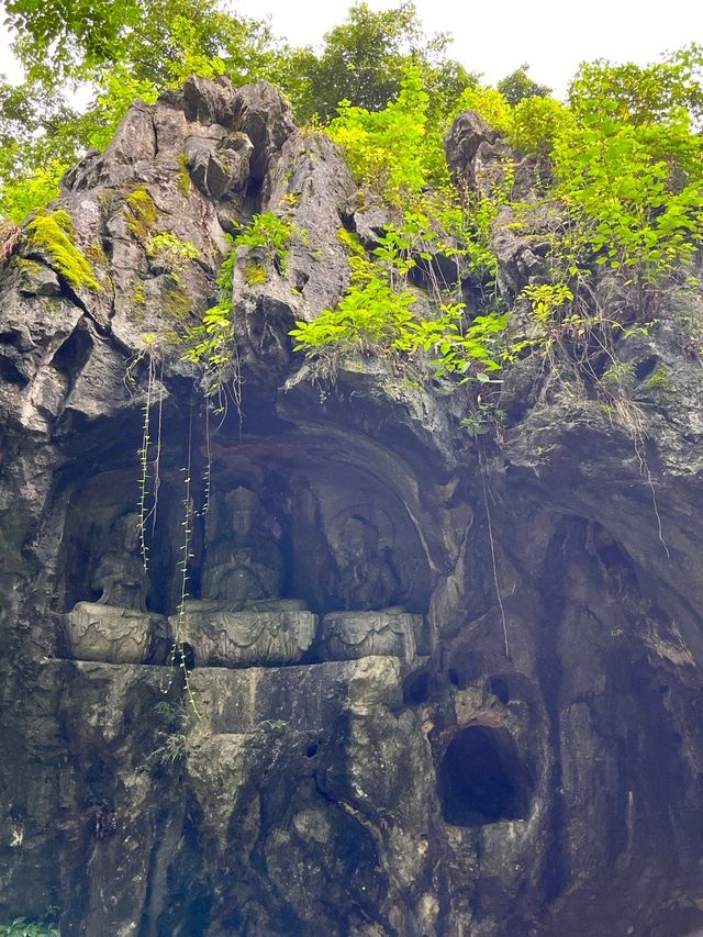 願世界化為滄海，願你我歸於初見